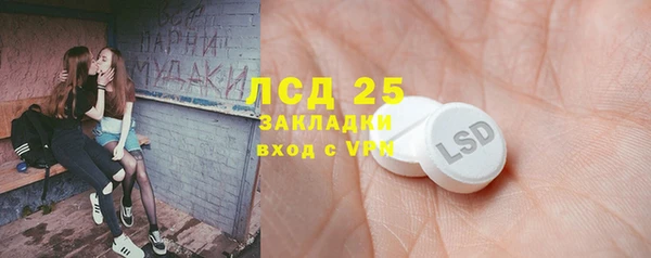 мяу мяу мука Абаза