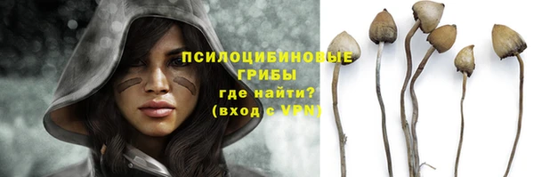 ПСИЛОЦИБИНОВЫЕ ГРИБЫ Алексин
