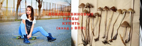 мяу мяу мука Абаза