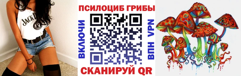 где можно купить наркотик  Братск  Галлюциногенные грибы мухоморы 