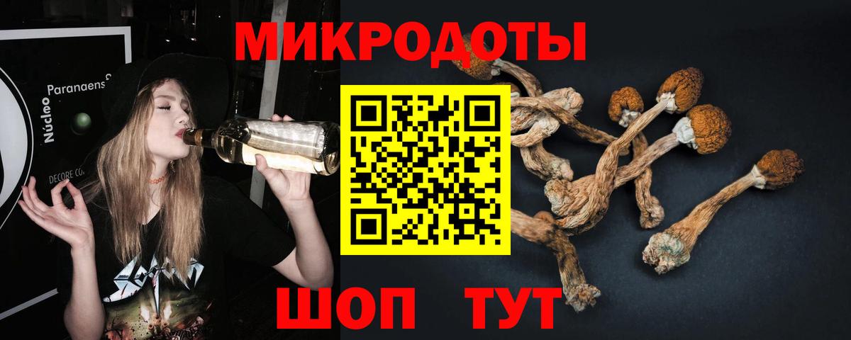 Братск  Псилоцибиновые грибы мухоморы  Вход с VPN  Галлюциногенные грибы MAGIC MUSHROOMS 